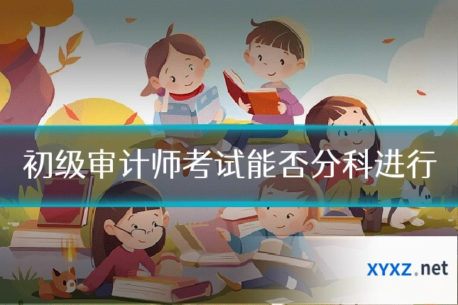 初级审计师考试能否分科进行