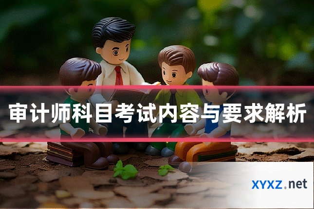 审计师科目考试内容与要求解析