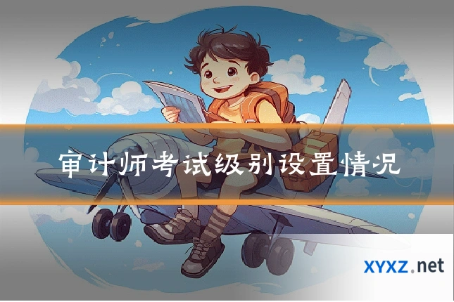 审计师考试级别设置情况