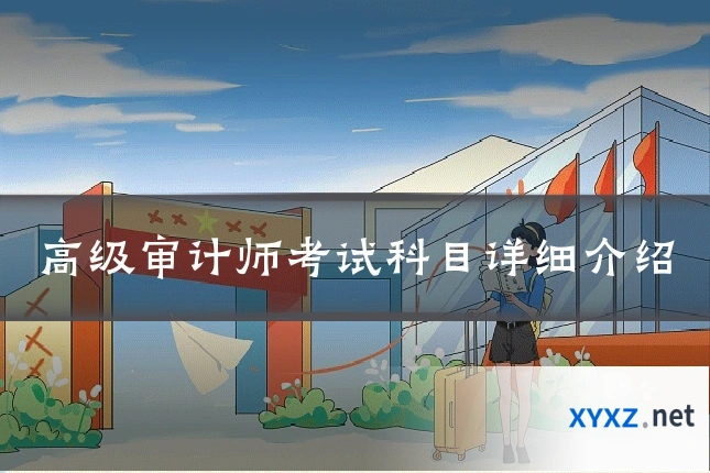 高级审计师考试科目详细介绍