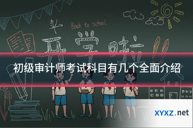 初级审计师考试科目有几个全面介绍