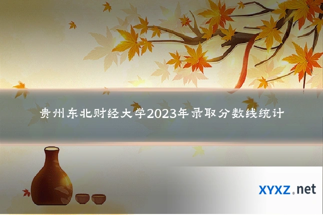 贵州东北财经大学2023年录取分数线统计