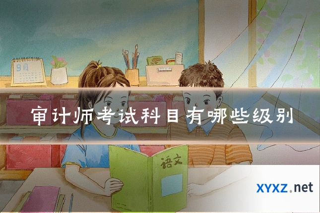 审计师考试科目有哪些级别