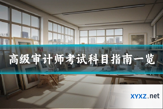 高级审计师考试科目指南一览