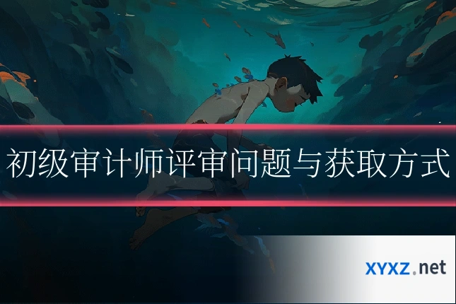 初级审计师评审问题与获取方式