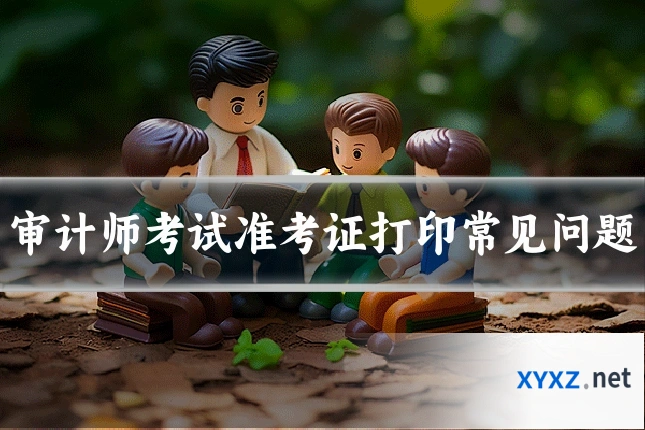 审计师考试准考证打印常见问题