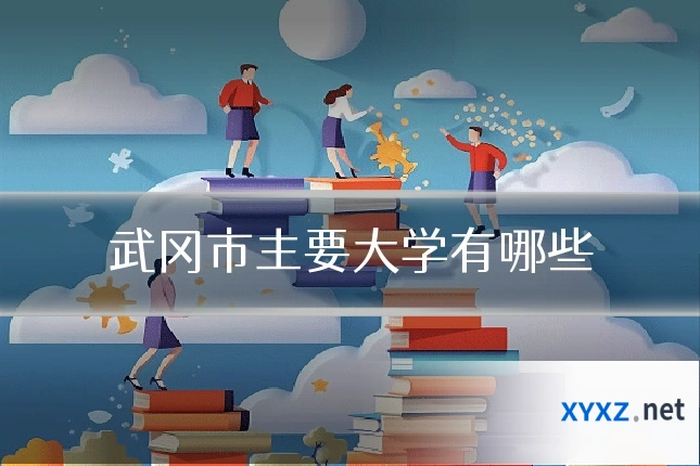 武冈市主要大学有哪些