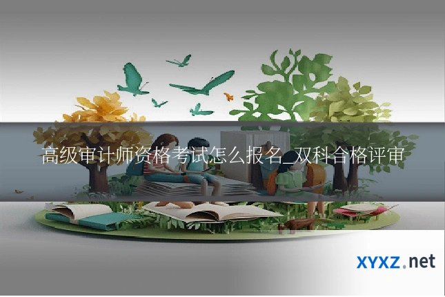 高级审计师资格考试怎么报名_双科合格评审