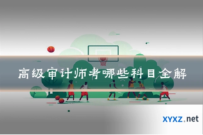 高级审计师考哪些科目全解