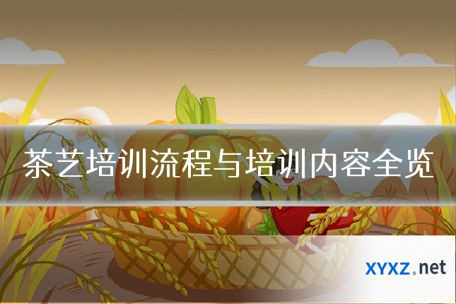 茶艺培训流程与培训内容全览