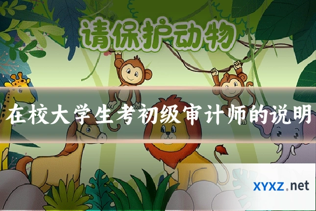 在校大学生考初级审计师的说明