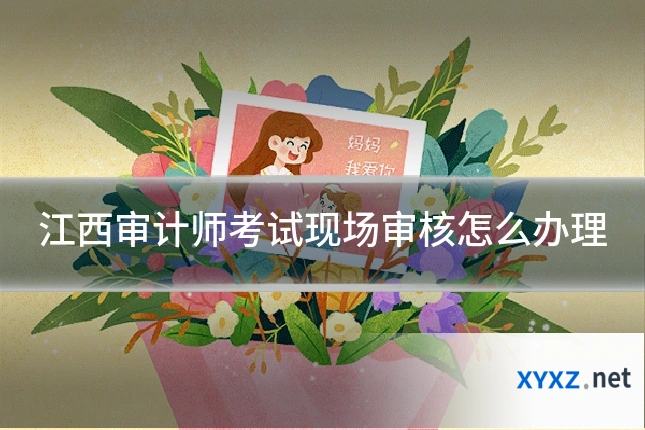 江西审计师考试现场审核怎么办理