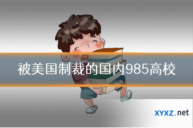 被美国制裁的国内985高校