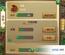 生存33天宠物活动怎么玩