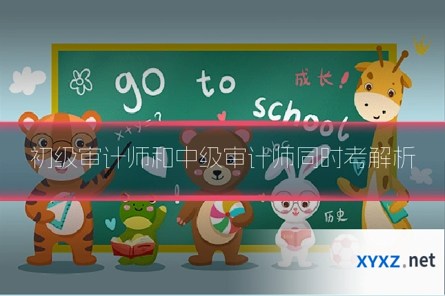 初级审计师和中级审计师同时考解析