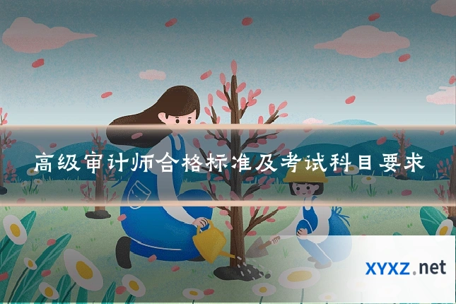高级审计师合格标准及考试科目要求