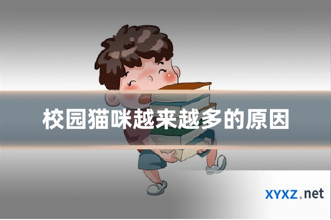 校园猫咪越来越多的原因