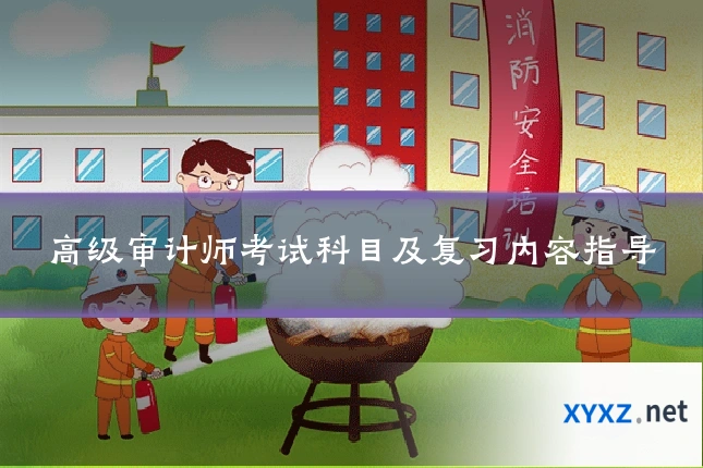 高级审计师考试科目及复习内容指导