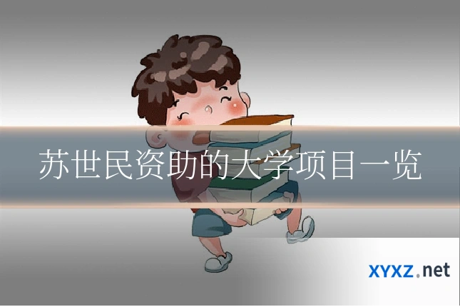 苏世民资助的大学项目一览