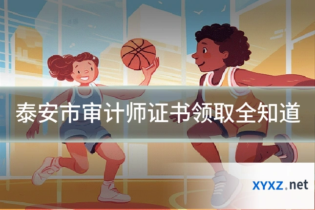 泰安市审计师证书领取全知道