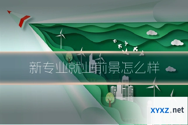 新专业就业前景怎么样