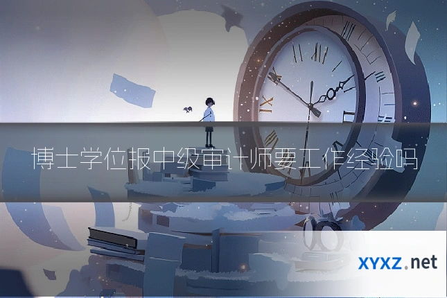 博士学位报中级审计师要工作经验吗