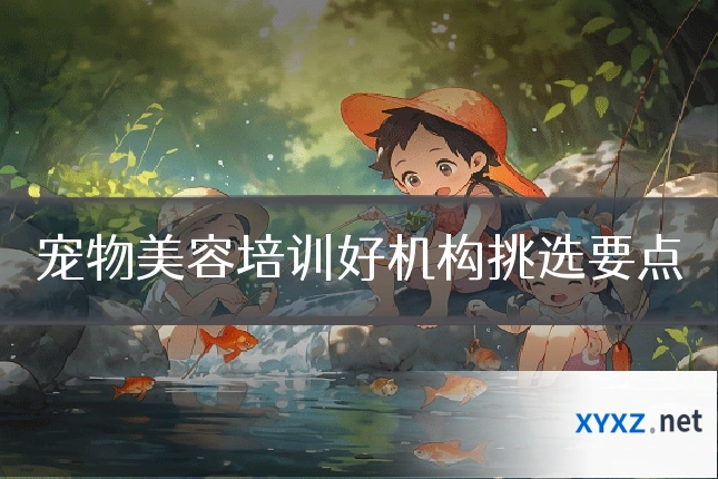 宠物美容培训好机构挑选要点