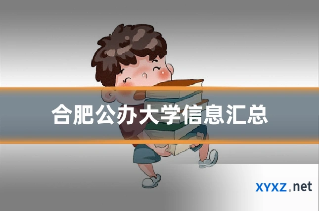 合肥公办大学信息汇总
