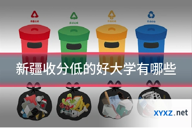 新疆收分低的好大学有哪些