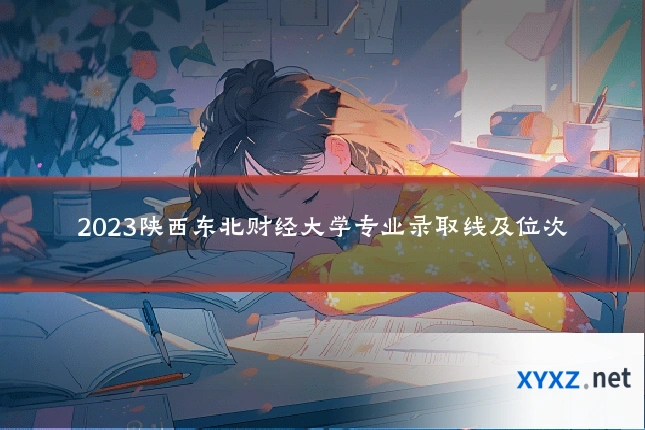 2023陕西东北财经大学专业录取线及位次
