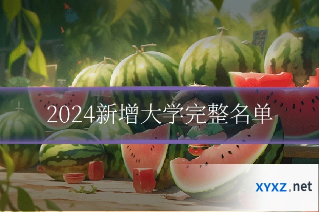 2024新增大学完整名单